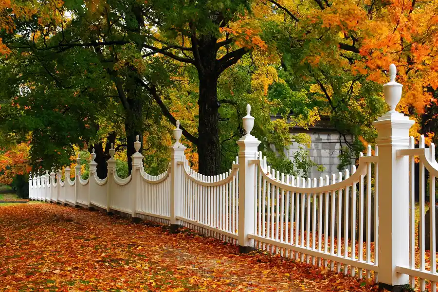 Professional Fence Replacement in San Francisco, CA
